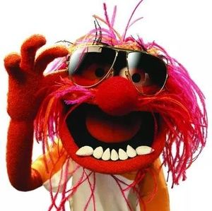 Meet your Posher, Terry